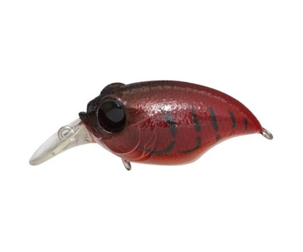 

Воблер Megabass New SR-X GRIFFON col. FIRE CRAW (арт.1234909927522)