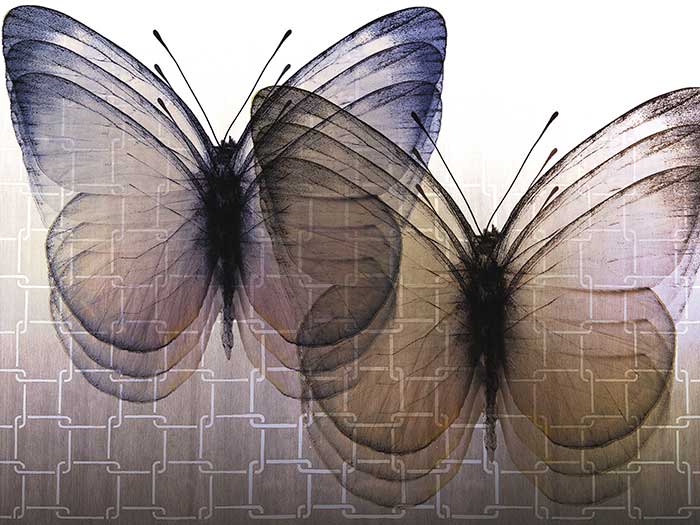 

Переводные принты Molenart для стен акриловые Бабочки 3D за 1 кв.м