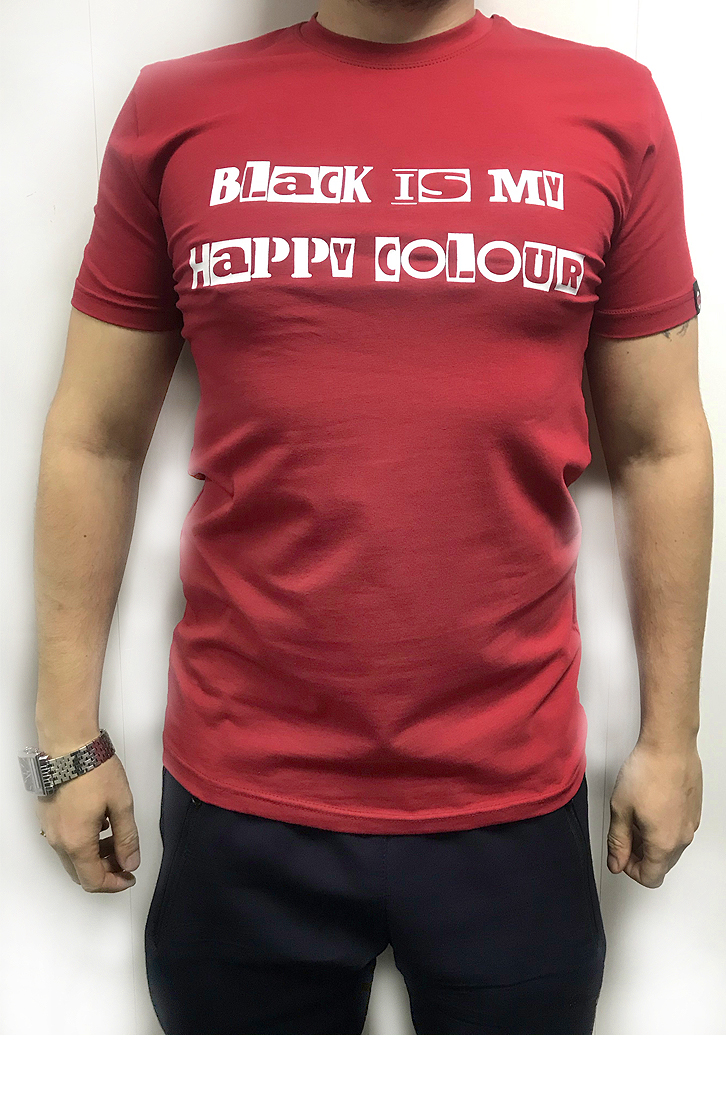 

Футболка мужская HECTOR 22029, Футболка мужская HECTOR 22029 XL