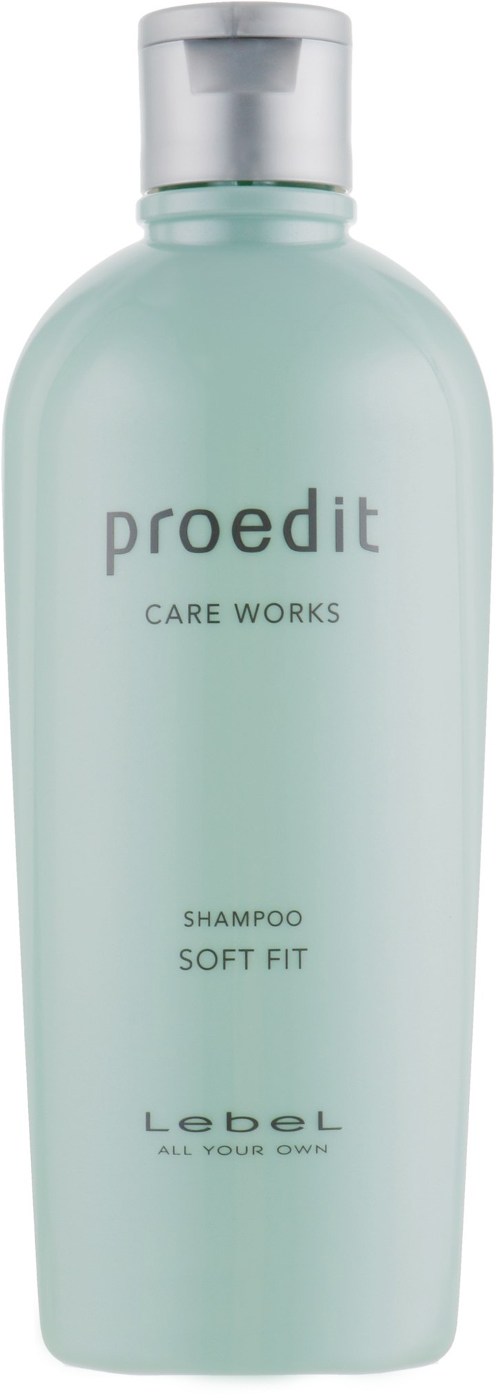 Увлажняющий шампунь Lebel Proedit Care Works Soft Fit Shampoo 300ml ...
