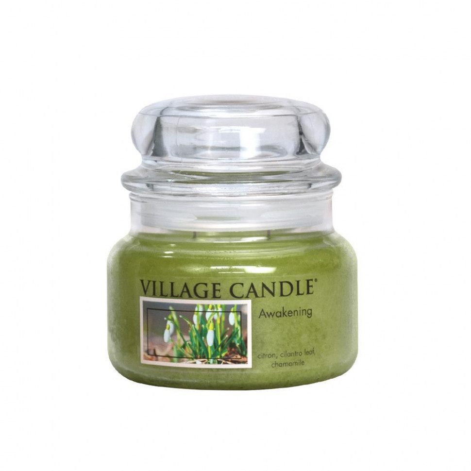 

Ароматическая свеча Village Candle Пробуждение (262 г)