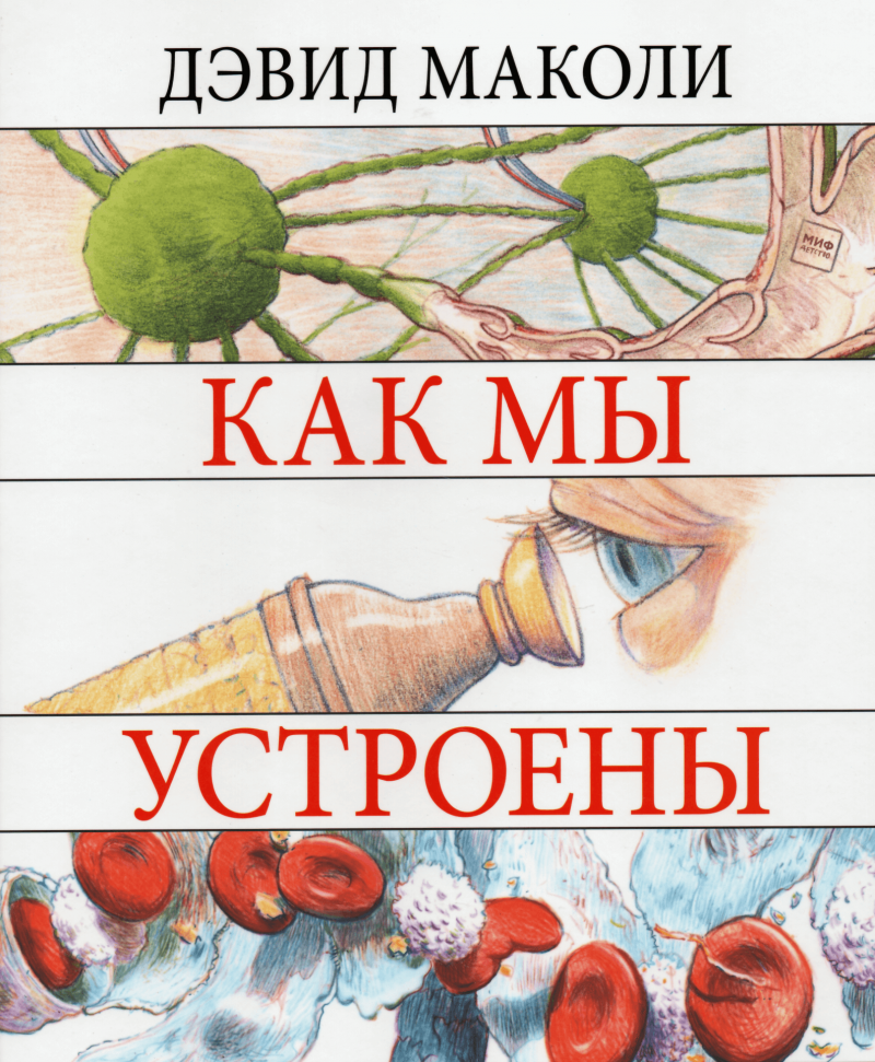 

Как мы устроены. Путеводитель по человеческому организму Манн, Иванов и Фербер (1629)