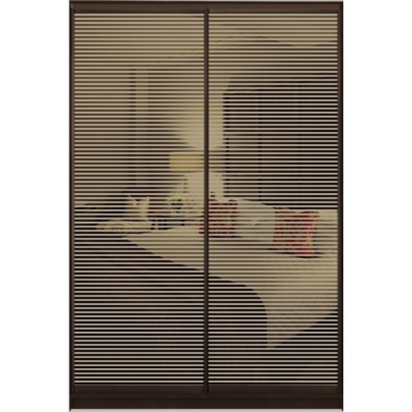 

Шкаф купе Стандарт 1 Тонированное зеркало с Пескоструем-6 1000x2200x600 двухдверный Matroluxe