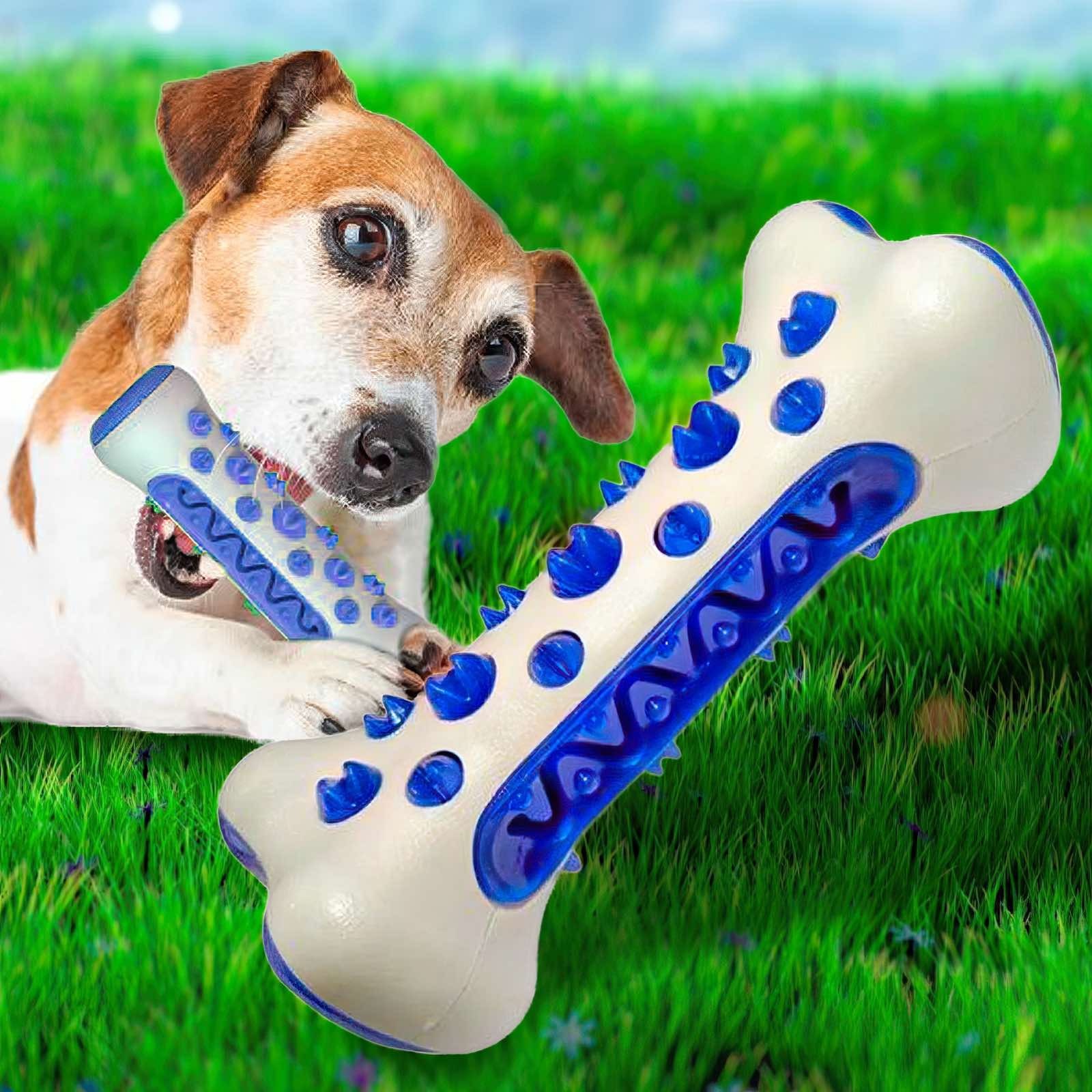 Pawsafe dog on sale toothbrush chew bone