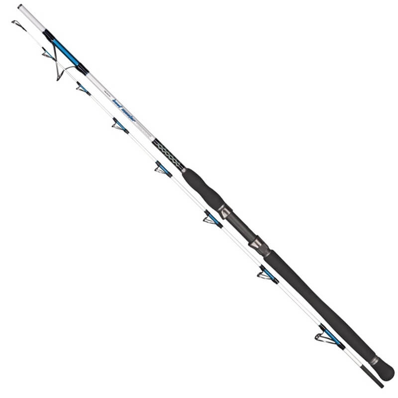 

Спиннинг Dragon Boat Master Jig 2.00м 40-200г (CHC-24-70-200)