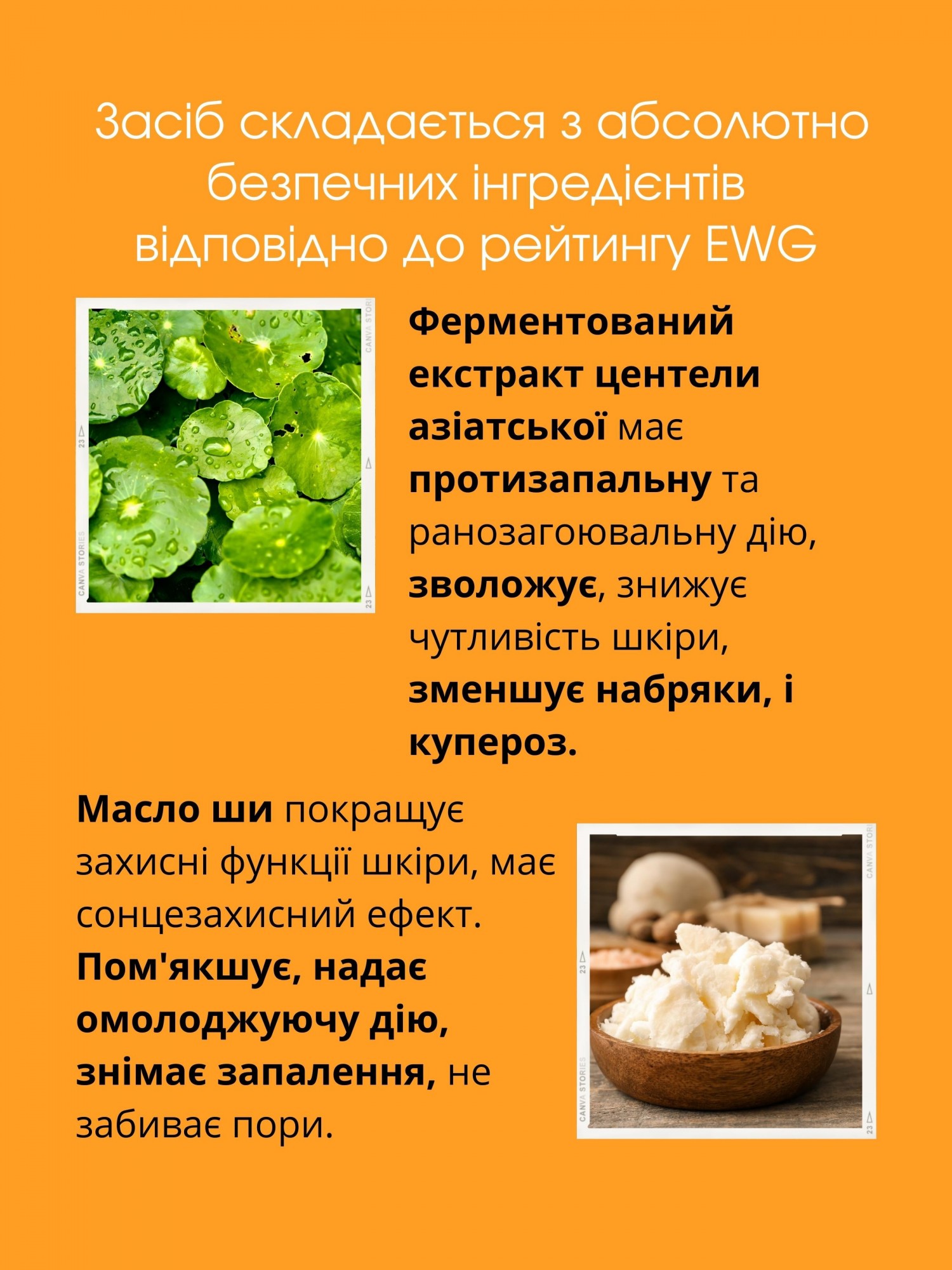 Восстанавливающий веган крем на основе органической моркови Ottie Vegan  Beta-Carrot Shield Cream 60 мл от продавца: Skin Culture – в  интернет-магазине ROZETKA | Купить в Украине: Киеве, Харькове, Днепре,  Одессе, Запорожье, Львове