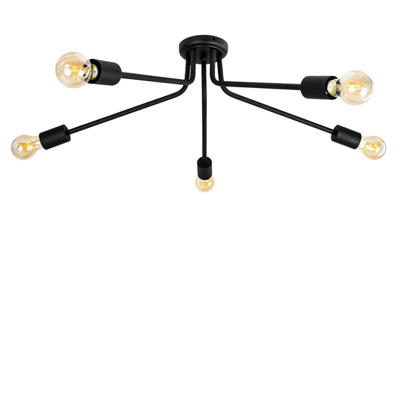 

Светильник потолочный Attic L-5 C400 Black Черный (1499)