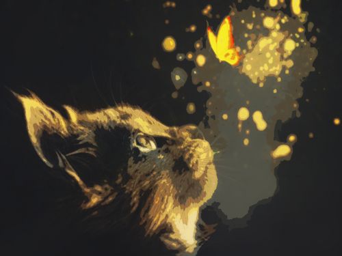 

Набор для творчества Картина по номерам "Сияние"