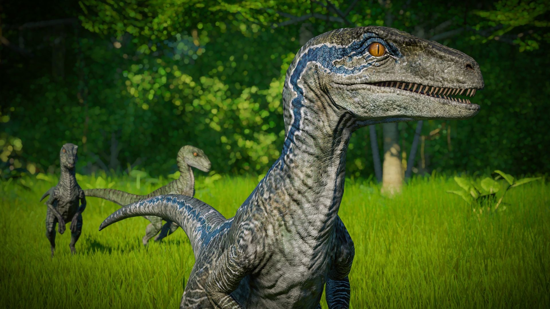 ROZETKA » Дополнение Jurassic World Evolution: Raptor Squad Skin Collection  для ПК (Ключ активации Steam) от продавца: GGSTORE купить в Украине: цена,  отзывы