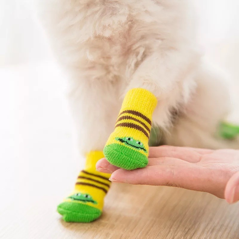 Для чего нужны носки для собак