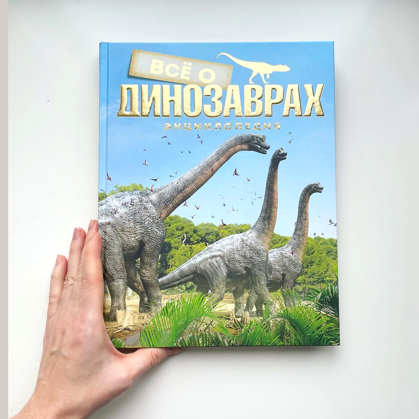 Книга Енциклопедія «Все про динозаврів» от продавца: Шалена мавпа ...