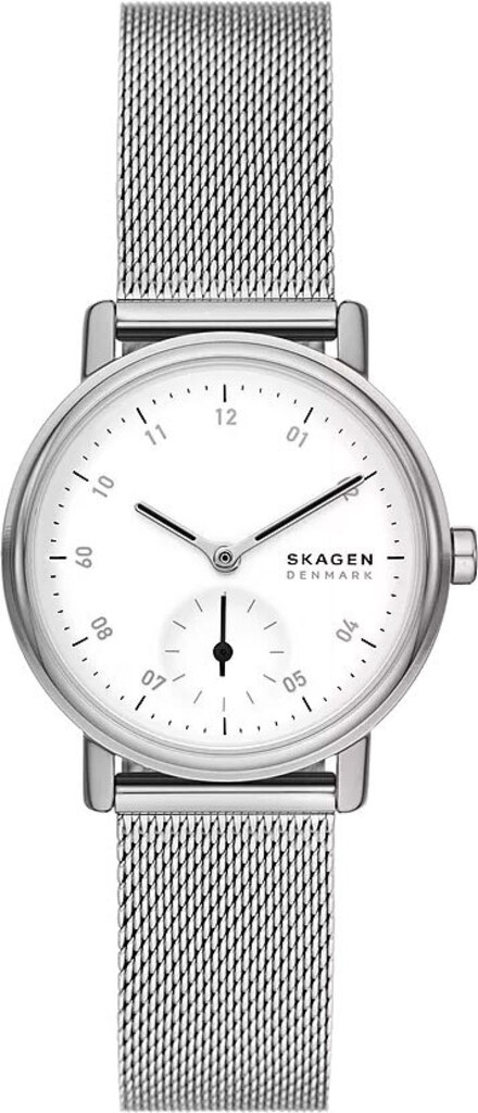 Женские часы SKAGEN SKW3100 – фото, отзывы, характеристики в интернет ...