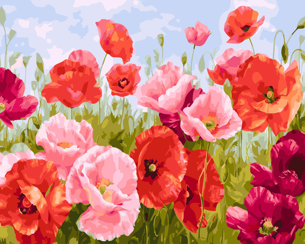 

Картина по Номерам Маковое поле 40х50см RainbowArt GX26187