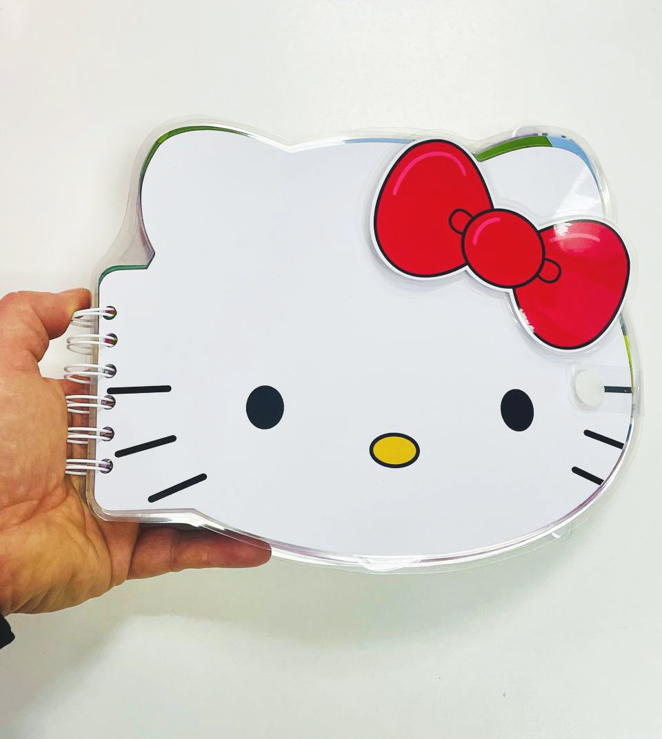 Развивающая книга альбом липучки Домик ТОКА БОКА Hello Kitty – фото,  отзывы, характеристики в интернет-магазине ROZETKA от продавца: DinoTop |  Купить в Украине: Киеве, Харькове, Днепре, Одессе, Запорожье, Львове