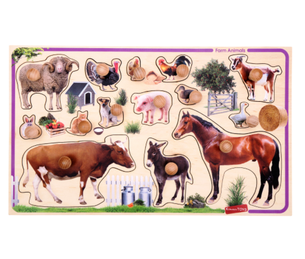 

Рамка-вкладыш Домашние животные Т631 Komarovtoys 50х30 см