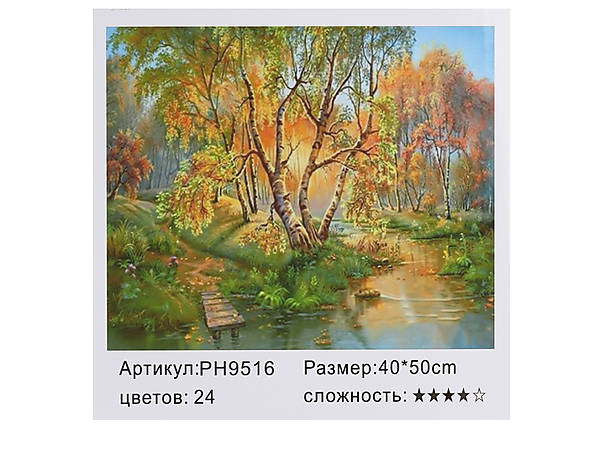 

Картина по номерам "Осень в парке" 40*50см Shinerichy Ind (9516)