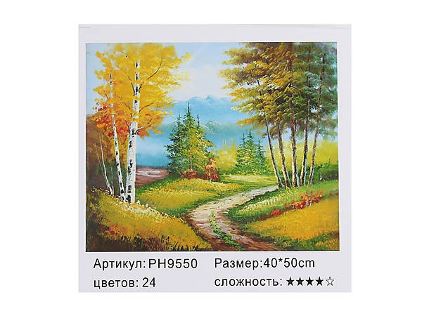 

Картина по номерам "Осенняя дорога" 40*50см Shinerichy Ind (9550)