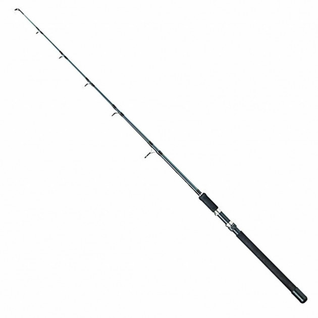 

Удилище лодочное DAM Camaro Trolling 1.60 м 1сек. 30 Lb