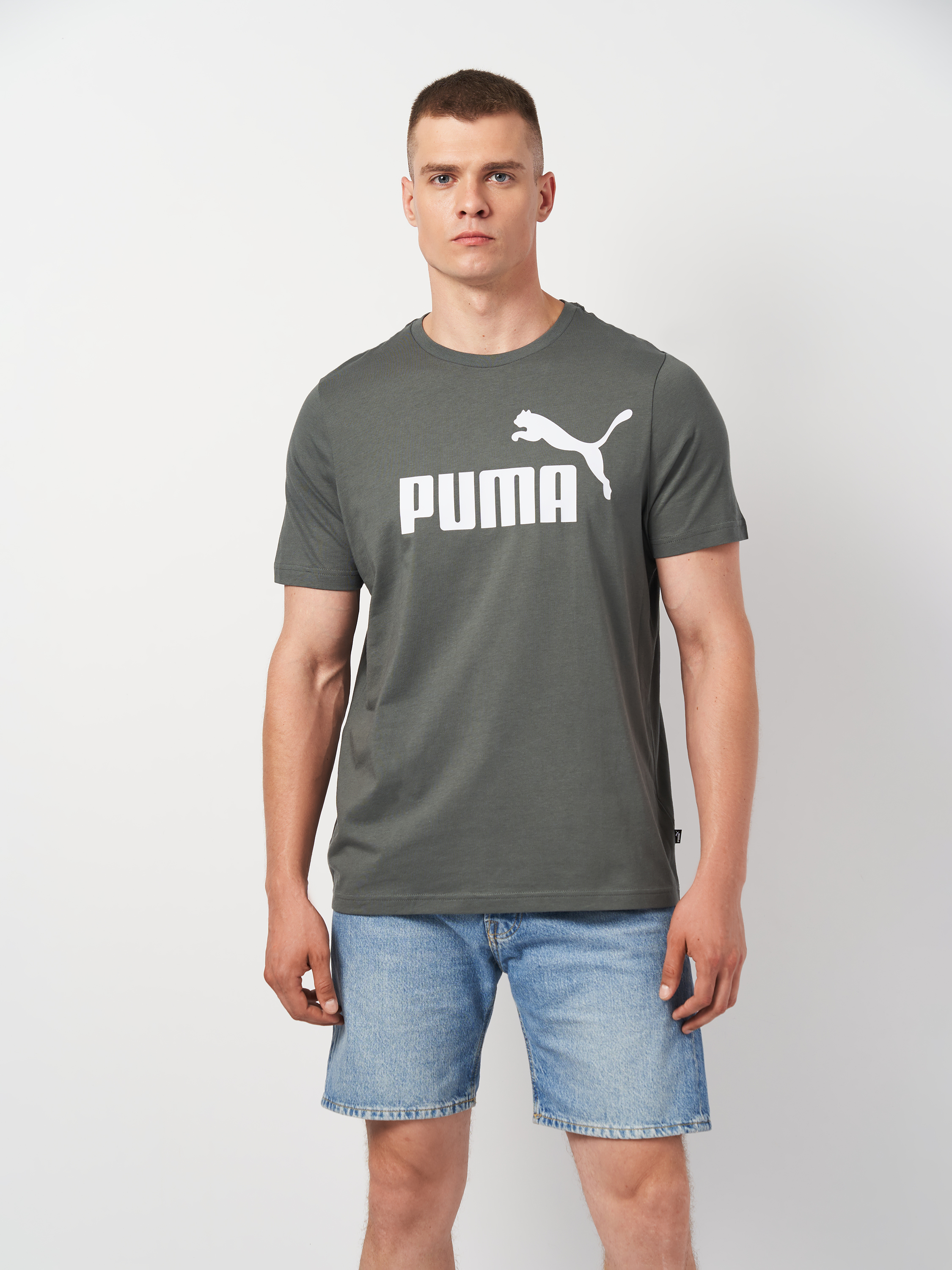 Акція на Футболка бавовняна довга чоловіча Puma Essentials Foundation 58666769 XL Сіра з принтом від Rozetka