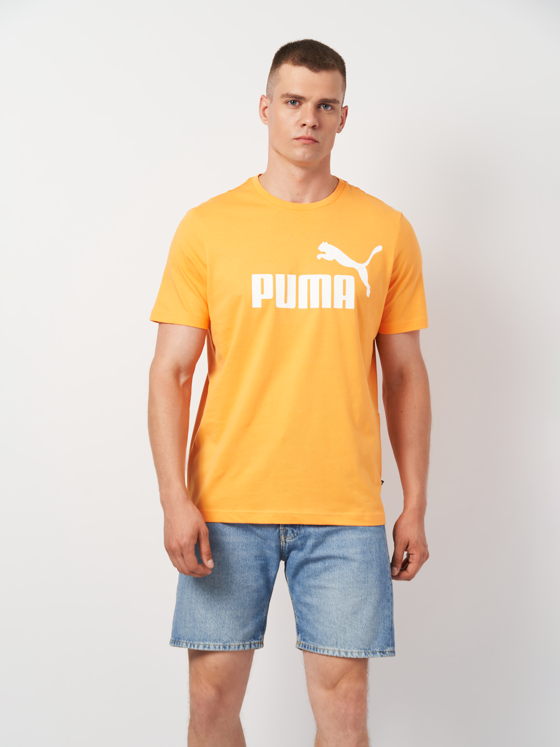 Акція на Футболка бавовняна довга чоловіча Puma ESS Logo Tee 58666758 M Clementine від Rozetka