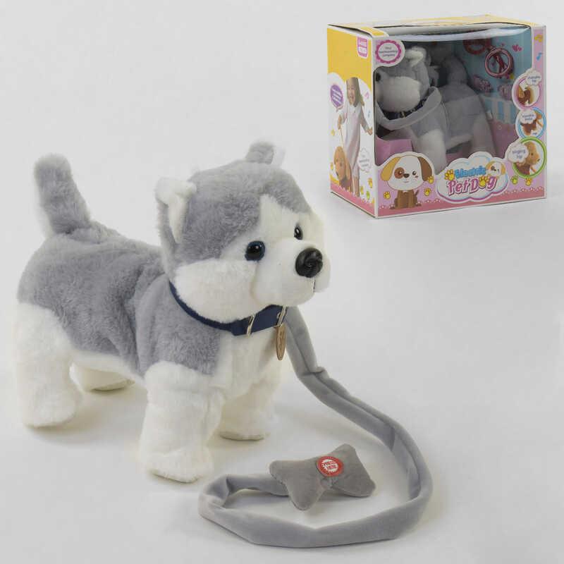 

Мягкая игрушка "Собачка" С 43980 (8) танцует, поет, в коробке