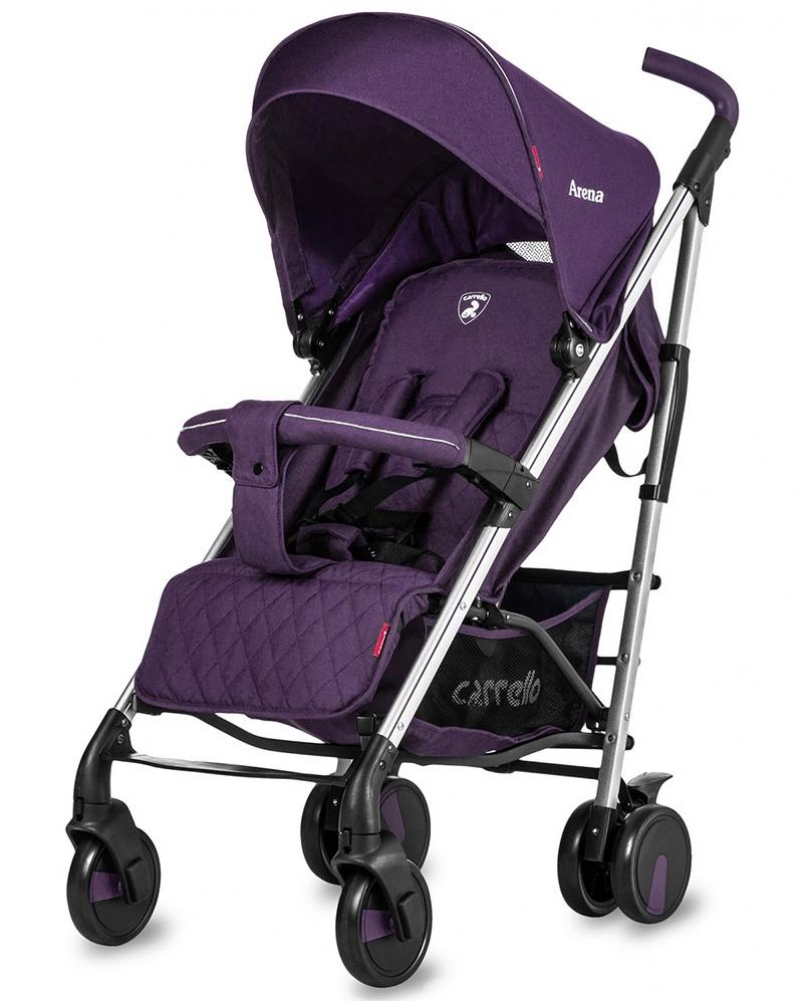 

Коляска прогулочная Baby Tilly CARRELLO Arena Len CRL-8504 Фиолетовый Arena Len CRL-8504