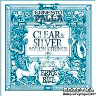 

Ernie Ball P02403