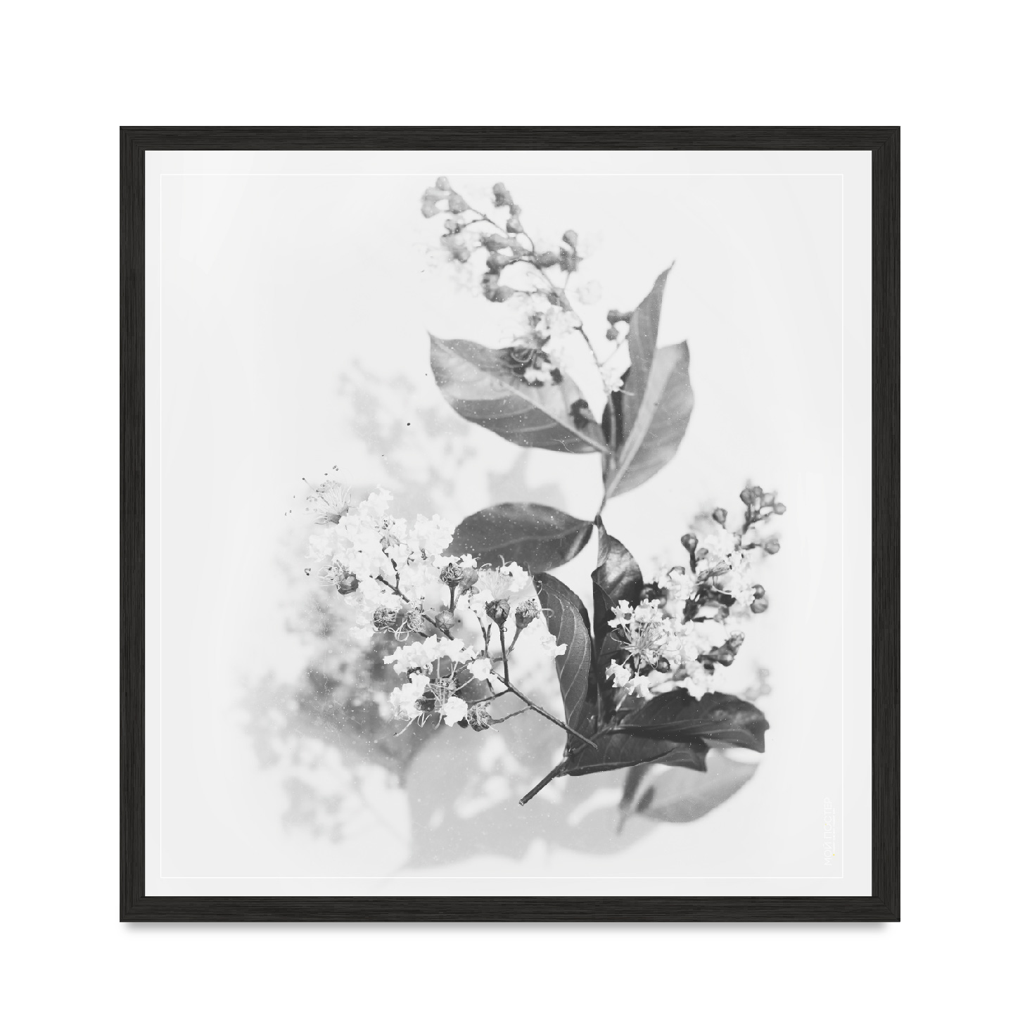

Постер "Flowers 02" без стекла 45 x 45 см в чёрной рамке