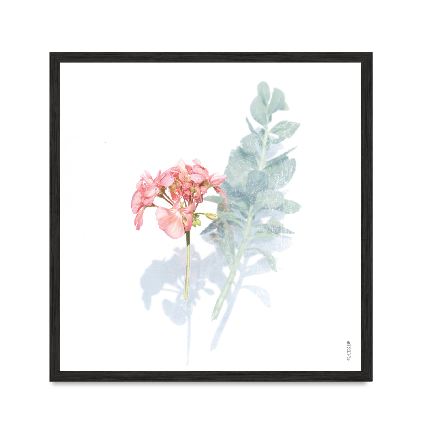 

Постер "Flowers 01" с антибликовым стеклом 45 x 45 см в чёрной рамке