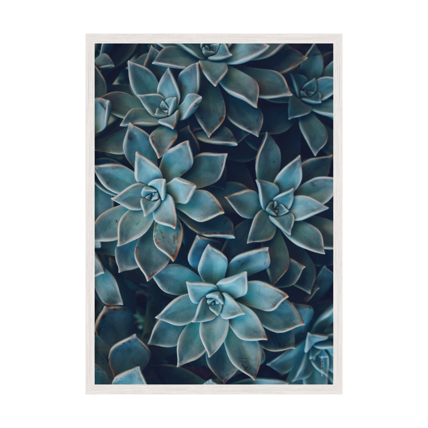 

Постер "Leaves 03" без стекла 59.6 x 84 см в белой рамке