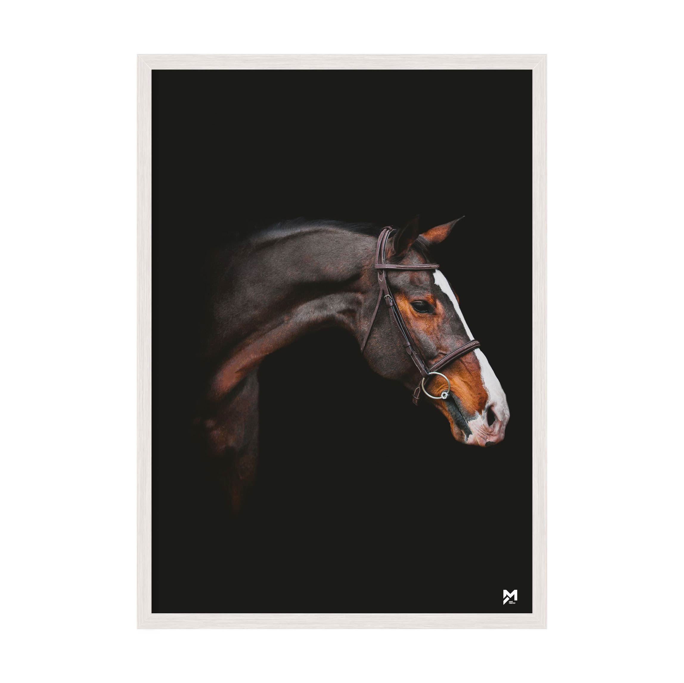

Постер "Horse" с антибликовым стеклом 29.7 x 42 см в белой рамке