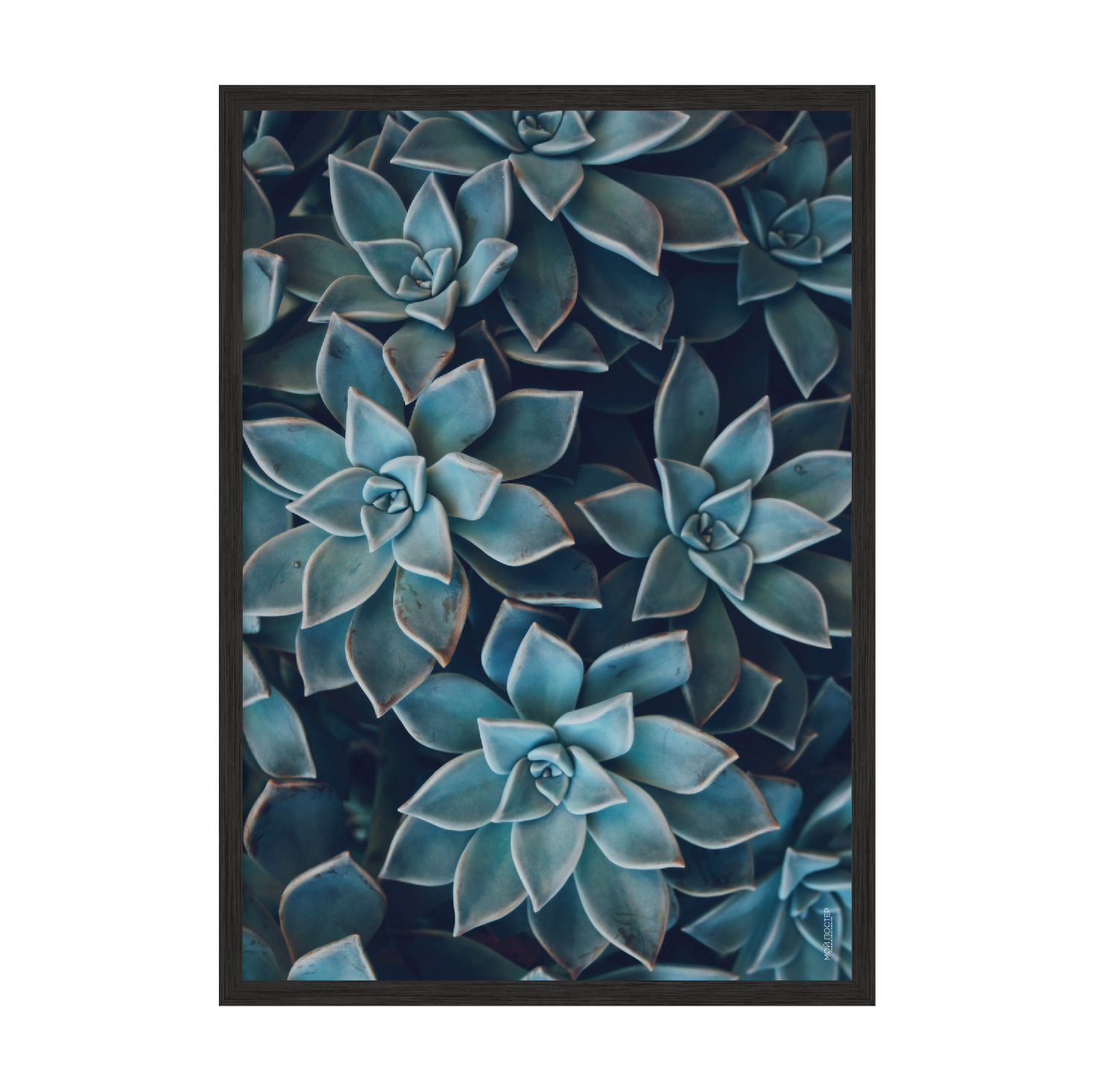 

Постер "Leaves 03" без стекла 59.6 x 84 см в чёрной рамке