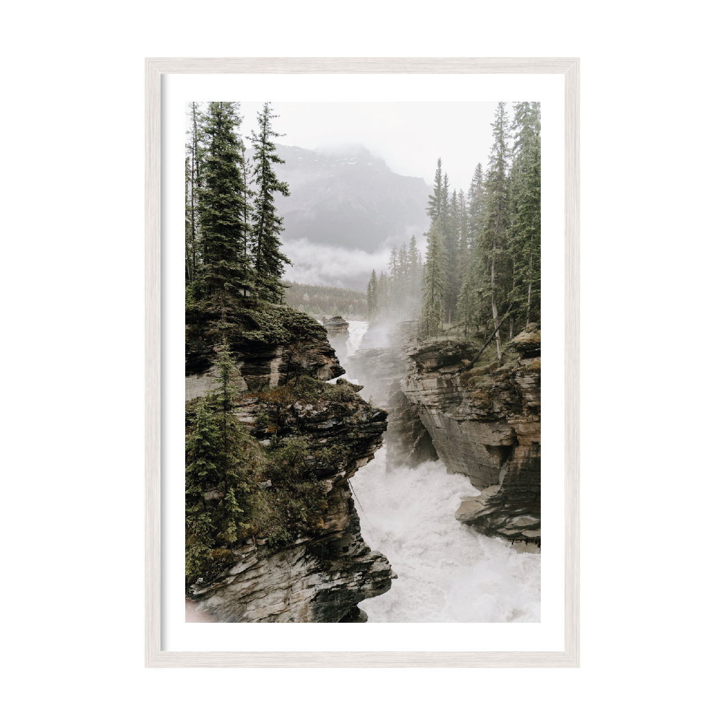 

Постер "Forest River" без стекла 596x840 мм в белой рамке