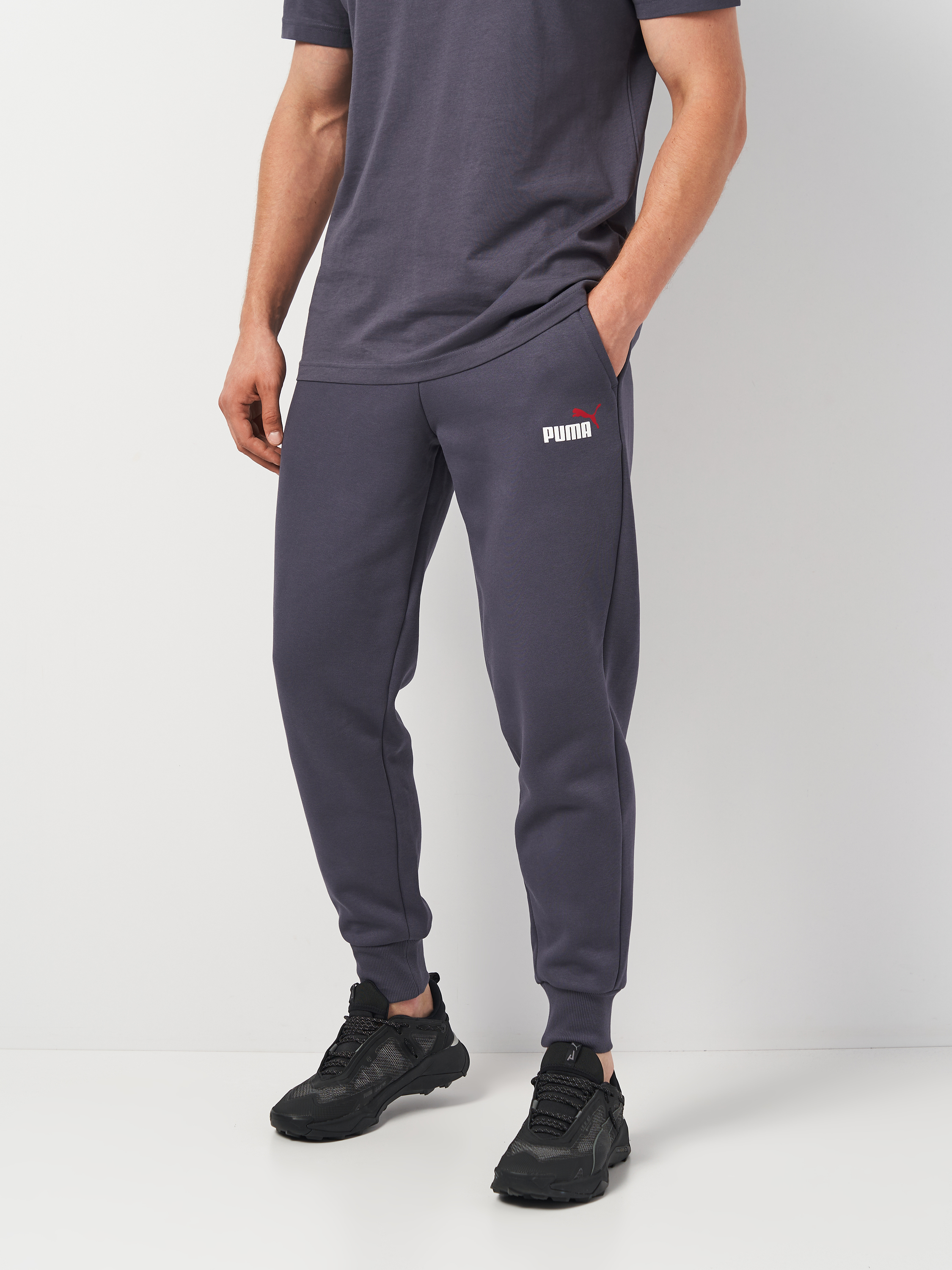 Акція на Спортивні штани чоловічі Puma Ess+ 2 Col Logo Pants 58676769 L Сірі від Rozetka