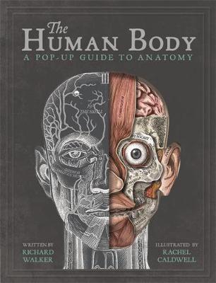 

Книга The Human Body - Richard Walker - 9781787410589