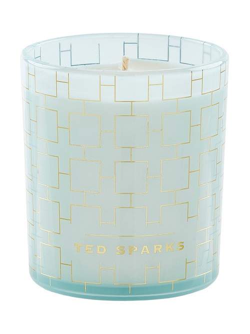 

Аромасвеча Ted Sparks Белый Кардамон и Ветивер Cardamom Vetiver Ted Sparks