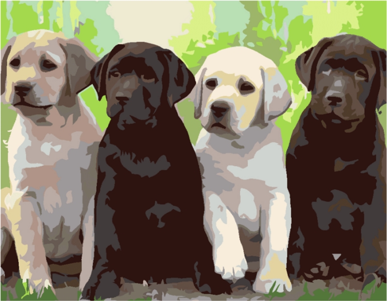 

Картина по номерам Rosa Start 4 Dogs 35 x 45 см (4823098522003)