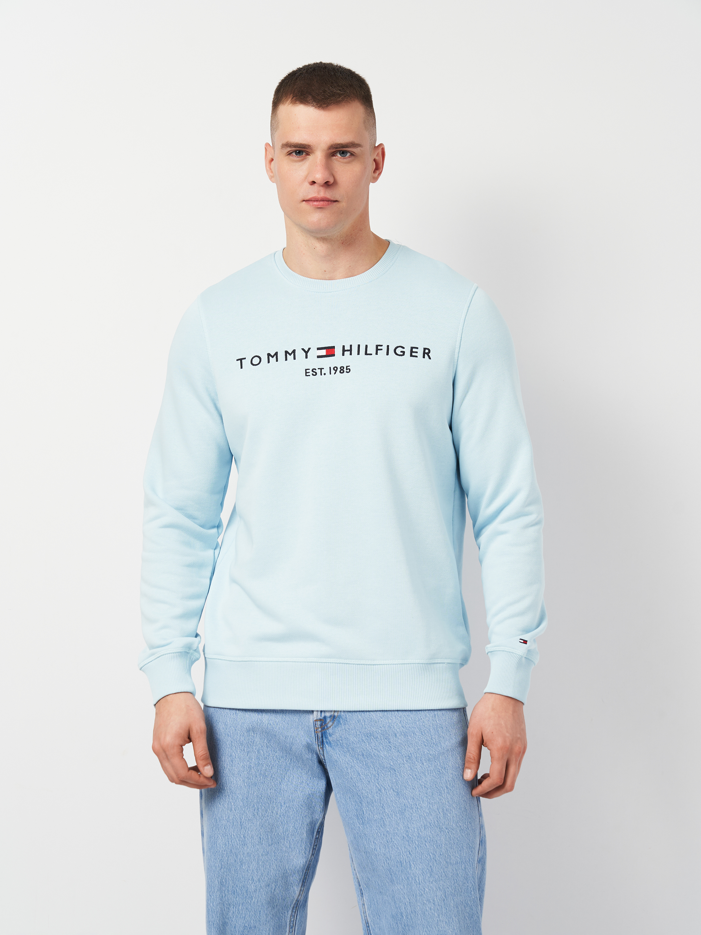 Акція на Світшот чоловічий Tommy Hilfiger 11402.2 L Блакитний від Rozetka