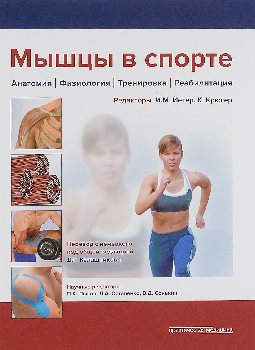 

Мышцы в спорте. Анатомия. Физиология. Тренировка. Реабилитация
