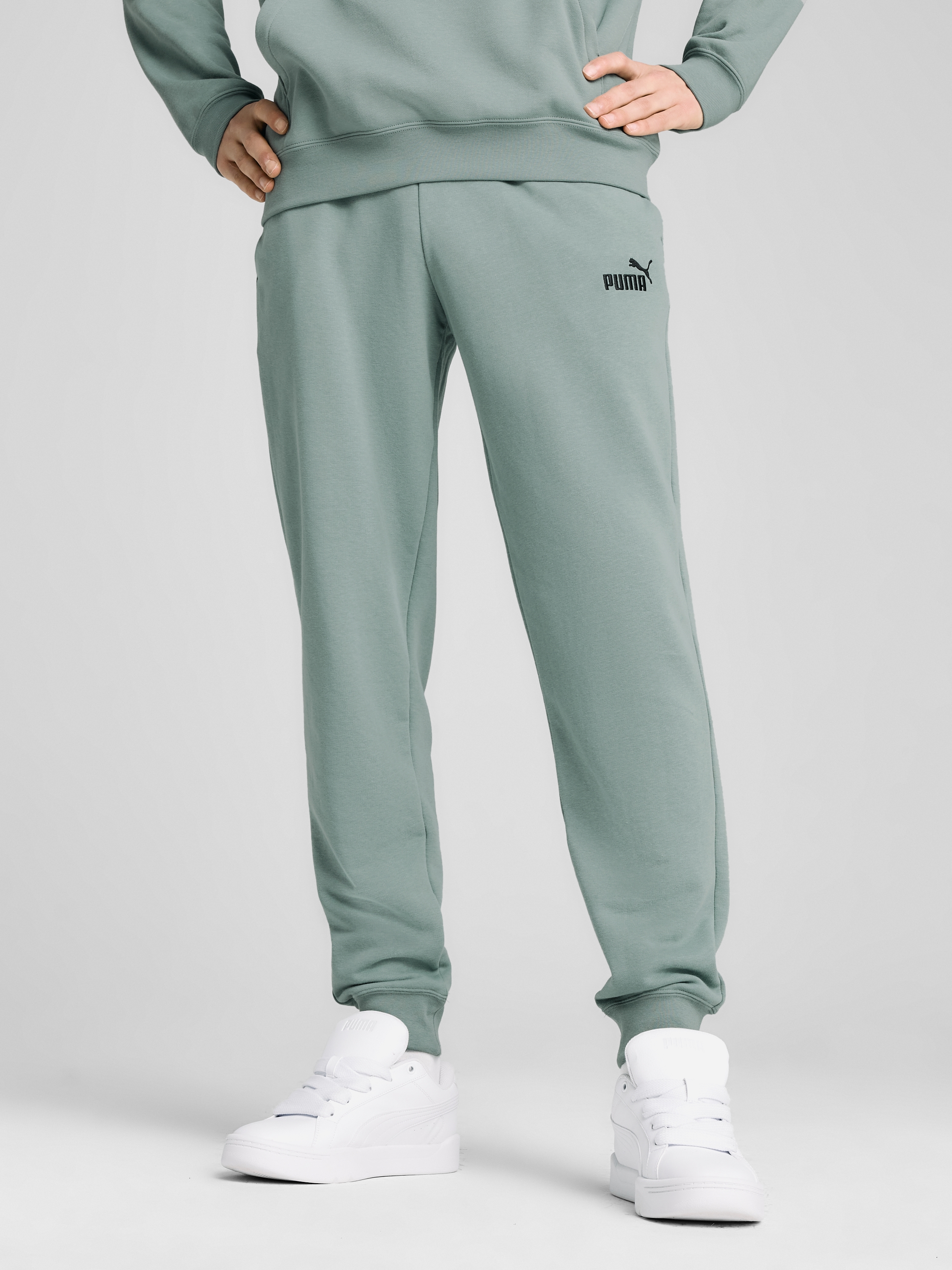 Акція на Спортивні штани чоловічі Puma Ess No. 1 Logo Sweatpants Tr Cl (S) 68260930 S Green Moon від Rozetka