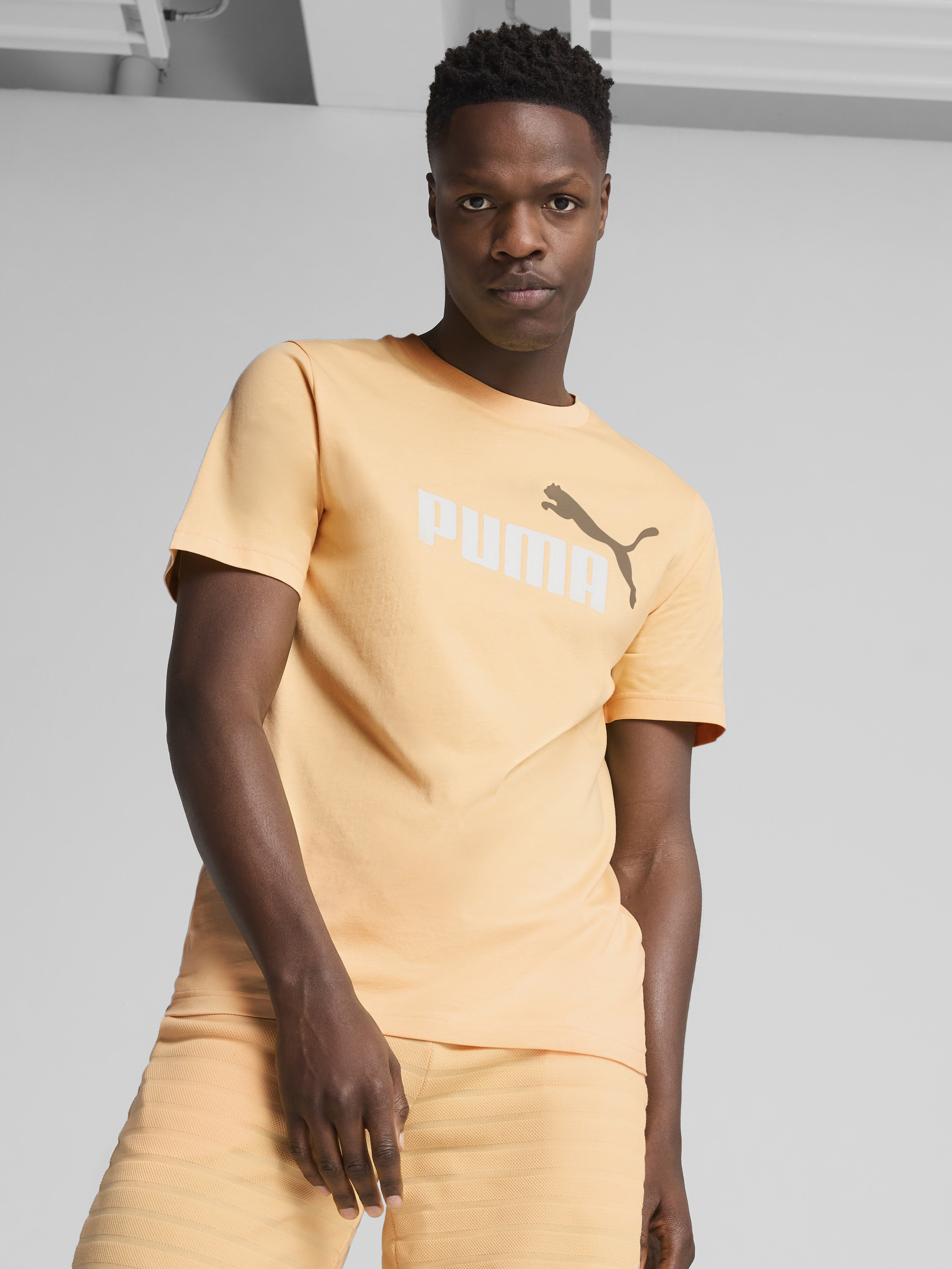 Футболка бавовняна довга чоловіча Puma Ess 2 Color No. 1 Logo Tee 68470841 L Almost Apricot з принтом від Rozetka на платформі USKIDKA Акція на Футболка бавовняна довга чоловіча Puma Ess 2 Color No. 1 Logo Tee 68470841 L Almost Apricot з принтом від Rozetka
