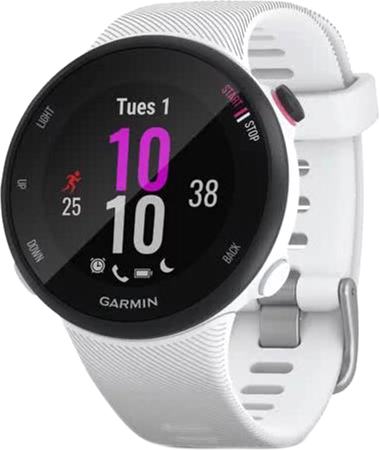 

Спортивные часы Garmin Forerunner 45S White (010-02156-00)