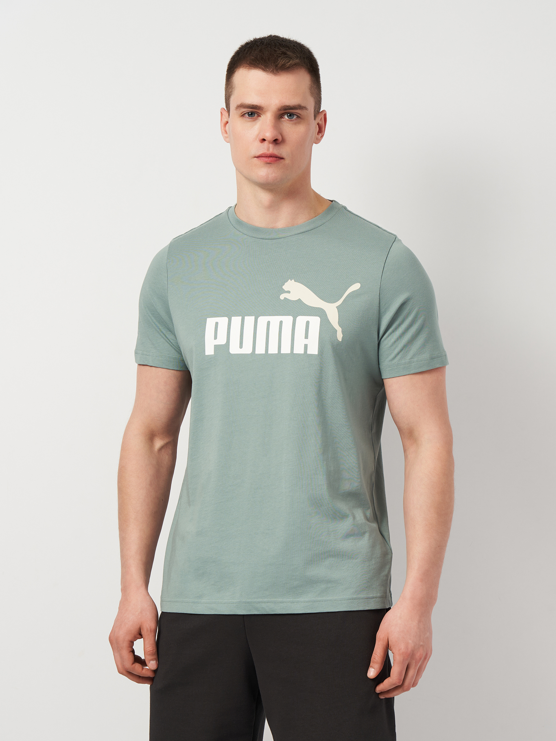 Акція на Футболка бавовняна довга чоловіча Puma Ess 2 Color No. 1 Logo Tee 68470830 2XL Green Moon з принтом від Rozetka