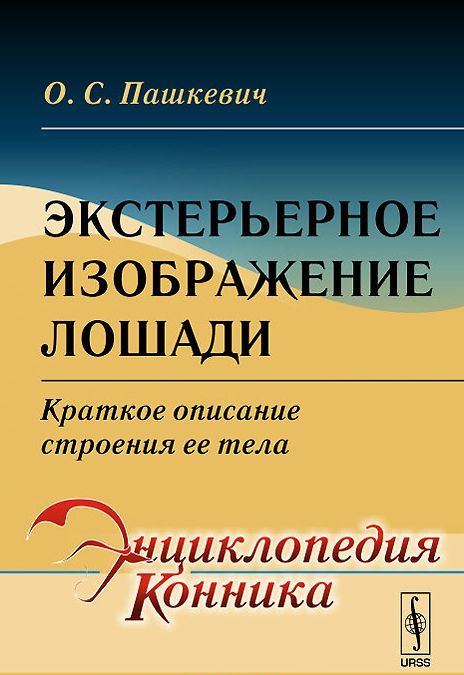

Экстерьерное изображение лошади. Краткое описание строения ее тела