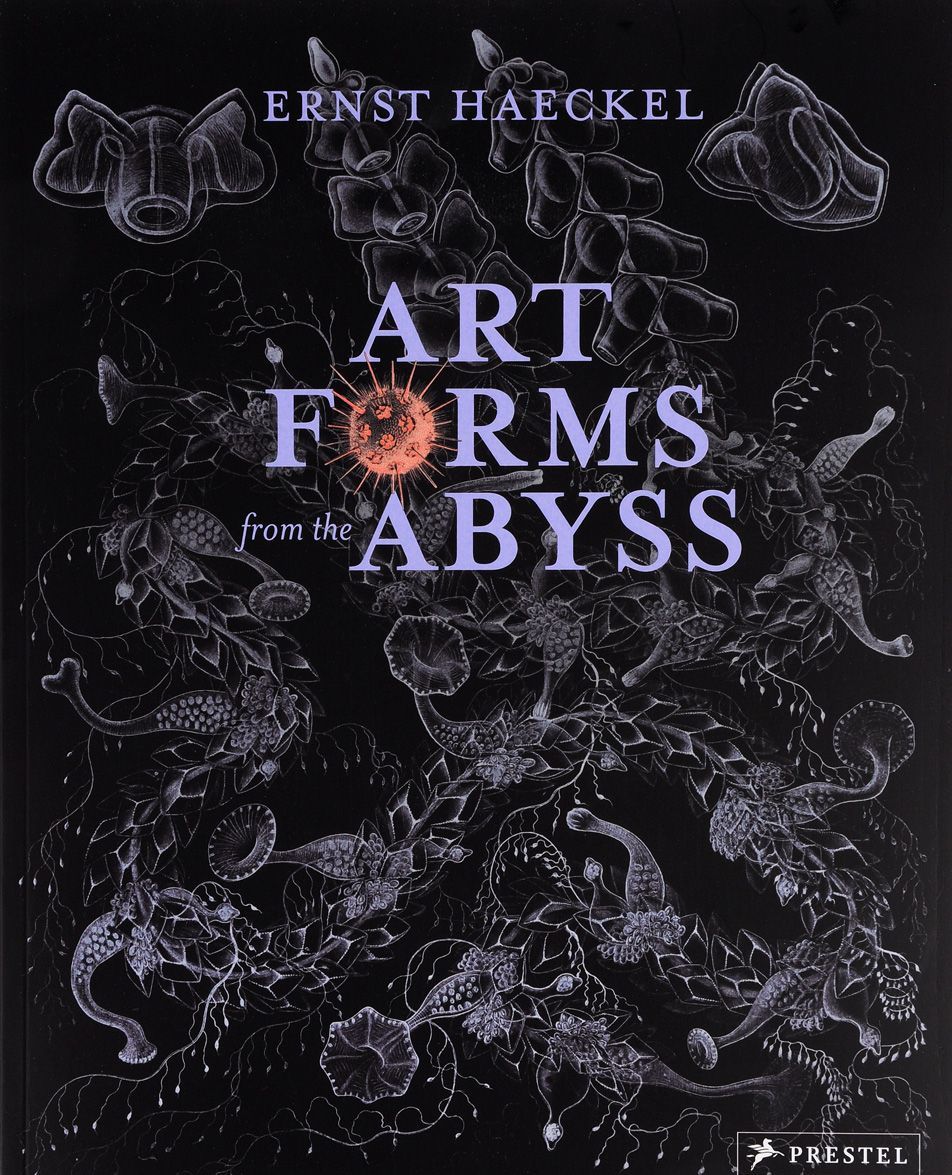 

Art Forms from the Abyss