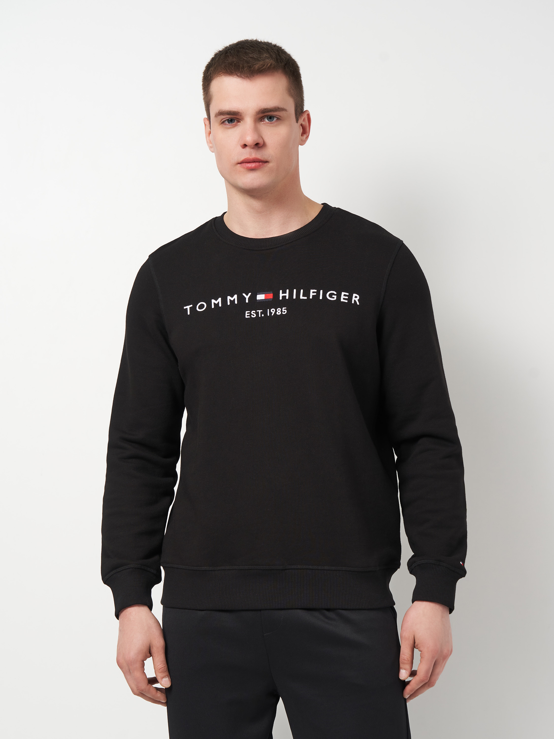 Світшот чоловічий Tommy Hilfiger 11508 L Чорний від Rozetka на платформі USKIDKA Акція на Світшот чоловічий Tommy Hilfiger 11508 L Чорний від Rozetka