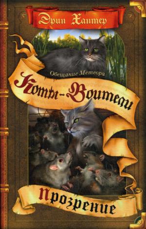 

Обещание Метеора. Книга 2. Прозрение