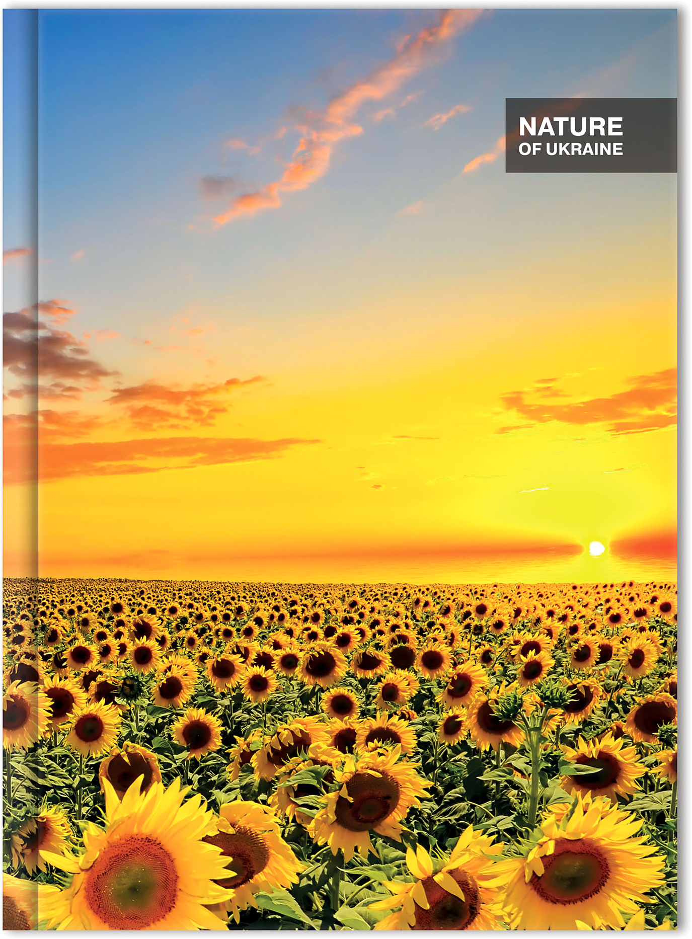 

Блокнот Optima Nature of Ukraine А4 в клетку 96 листов Подсолнухи (O20378-05)