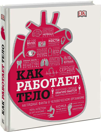 

Как работает тело