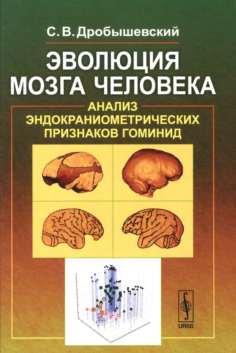 

Эволюция мозга человека. Анализ эндокраниометрических признаков гоминид